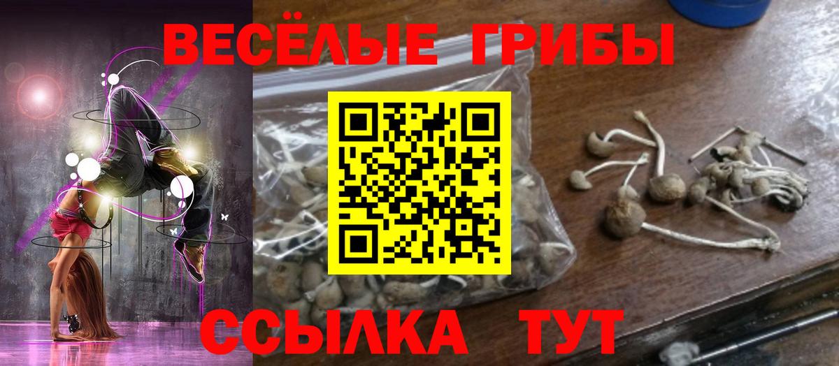 Галлюциногенные грибы ЛСД  Вход с VPN  Галлюциногенные грибы MAGIC MUSHROOMS  Борисоглебск 
