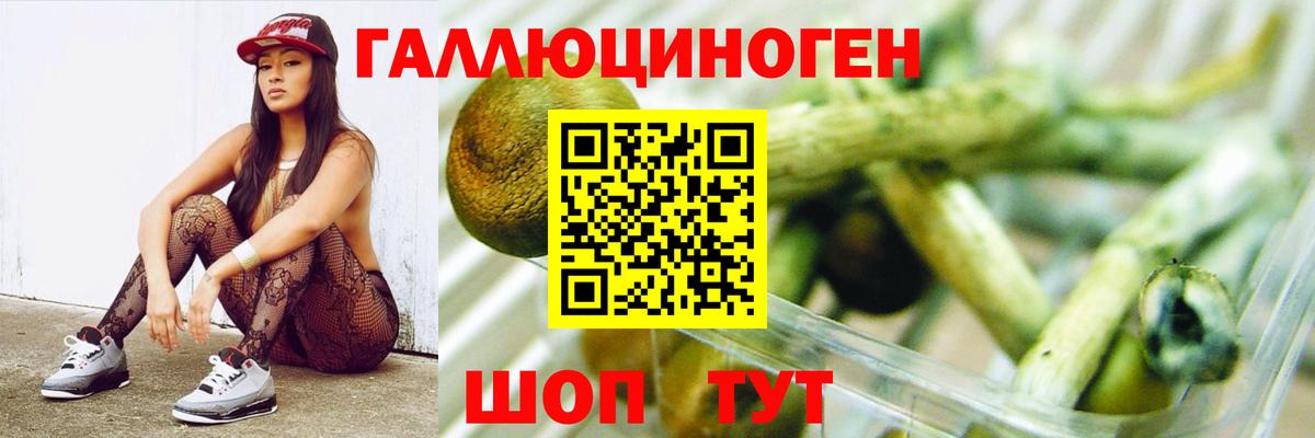 Псилоцибиновые грибы Psilocybe Борисоглебск